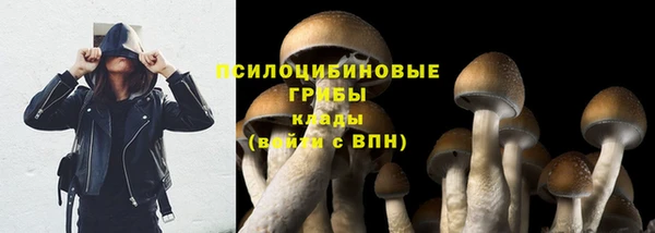 СК Абдулино