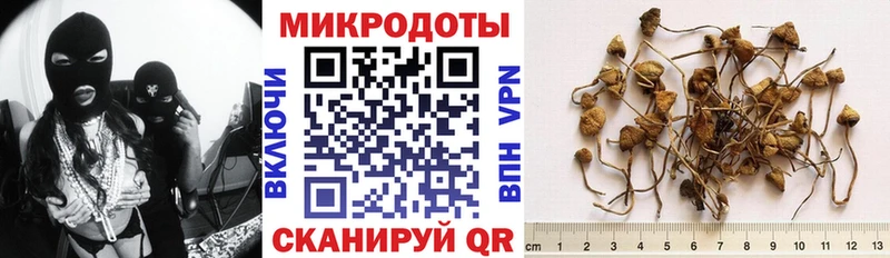 Галлюциногенные грибы GOLDEN TEACHER  что такое   blacksprut вход  Ирбит 